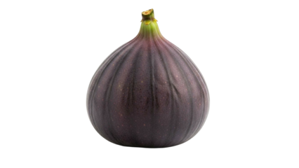Whole fig with deep purple skin and slightly soft texture is isolated on transparency background, highlighting its natural structure