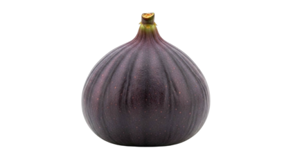Whole fig with deep purple skin is isolated on transparency background, showcasing its slightly soft texture and central structure. focus highlights its natural beauty