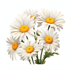 Fototapeta premium Bunch of daisies with white petals and yellow centers in a bunch