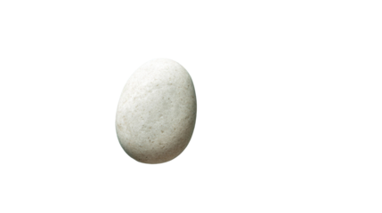 A single white speckled oval stone isolated on a transparent background