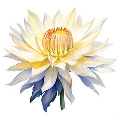 Obraz premium Watercolor illustration of a white lotus flower with yellow and blue accents