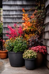 Obraz premium A vibrant array of colorful flowers and diverse plants is beautifully arranged in various pots, set against a rustic wooden wall that enhances the autumn ambiance of the garden space