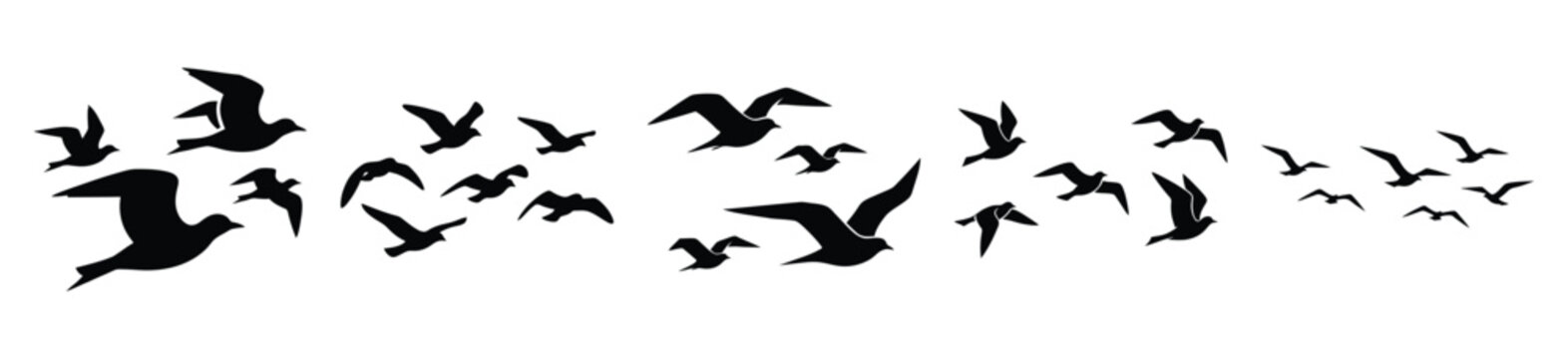 Set of birds flying vector icon in silhouette design. summer design concepts.