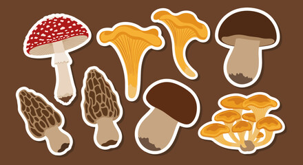 Variety of Mushrooms Collection Sticker Set