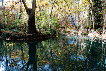 Wooden bridge over a tranquil river in the Monasterio de Piedra park, Spain