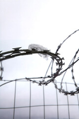 Snow on Razor Wire Fence in Winter Sky