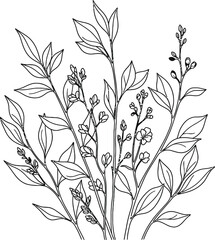 Naklejka premium Delicate Hand Drawn Botanical Illustration of Blooming Branches with Leaves Keywords: botanical, illustration, drawing, sketch, outline, plant