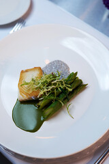 Elegant fine dining dish featuring a seared fish fillet served with green sauce