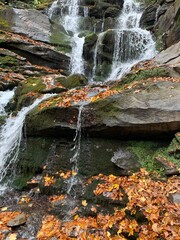 Autumn Waterfall Flowing Over Mossy Rocks; gentle waterfall cascades over moss-covered rocks, surrounded by vibrant autumn leaves in shades of orange and gold