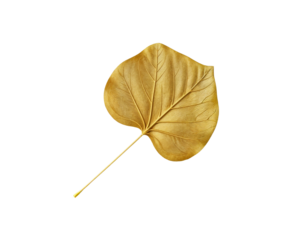 Golden Bodhi Leaf on Transparent Background