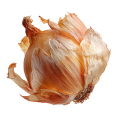 Close up of a whole yellow onion with dry papery skin against a stark black background