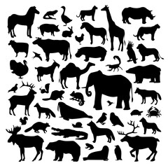 Large Collection of Animal Silhouettes – Wildlife, Farm Animals, Birds, Insects Vector Set