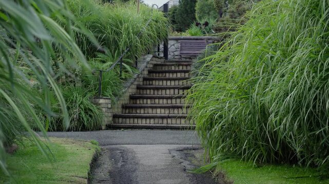 Garden Path With Steps