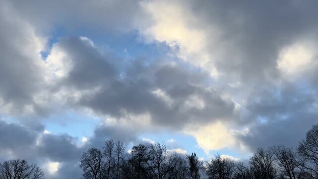 Dramatic cloudy winter sky with sunlight breaking through grey clouds over tree silhouettes. Atmospheric weather background