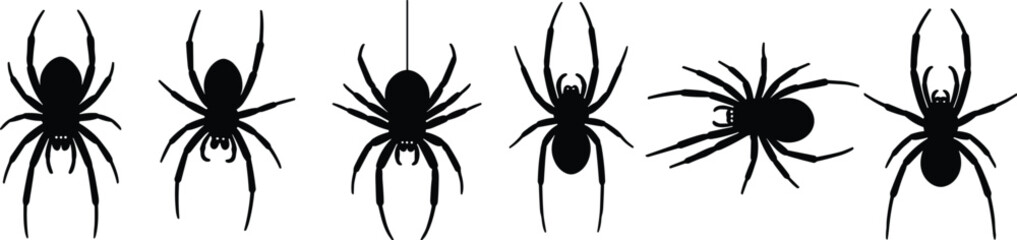 Set of six black spider silhouettes, various poses, hanging thread, insect illustration, arachnid design, Halloween graphic, isolated icons, creepy crawlies, vector art
