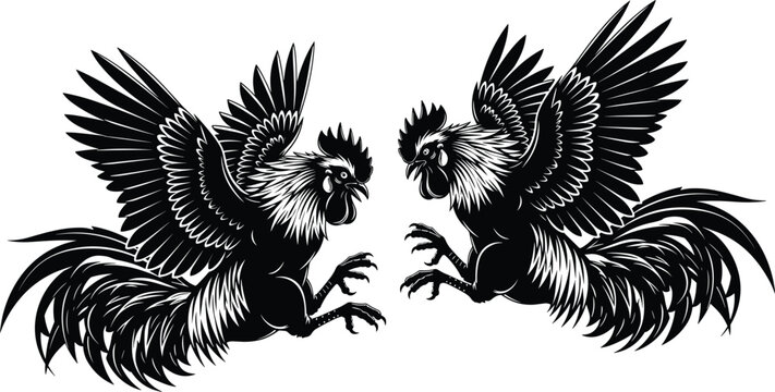 Two roosters in aggressive stance, cockfight silhouette, dynamic feathers, black outline, cultural symbol, fighting birds, traditional combat, symmetrical composition, vector illustration