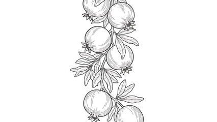 Elegant black and white vertical border design featuring a detailed hand drawn pomegranate fruit branch pattern