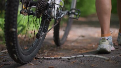 Rider Navigates Forest, Bicycle Rider Enjoying Peaceful Ride Through Sunlit Woodland Surroundings, Cyclist Leisurely Pushes Their Bicycle Along Serene Trail Shaded By Bright Sunlight