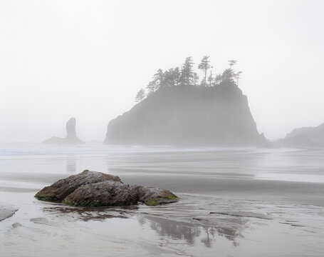 Foggy Morning at Second Beach