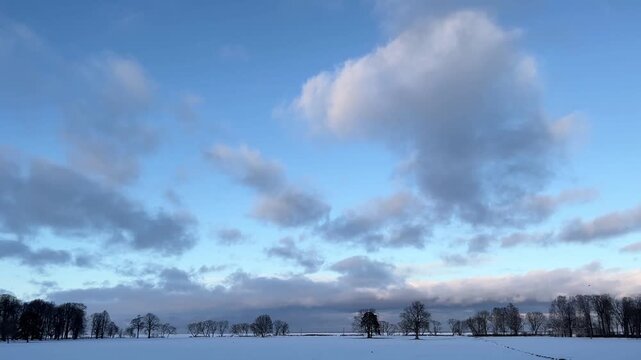 Wide winter landscape view with a snow-covered field and a row of bare trees against a dramatic blue sky with gray clouds