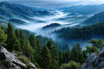 Misty Blue Mountain Valley with Pine Forest