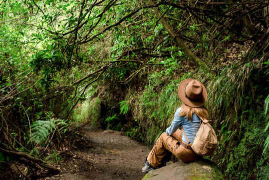 Woman in serene nature at Madeira green trail