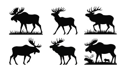 Obraz premium Collection of six black silhouette moose poses on a white background