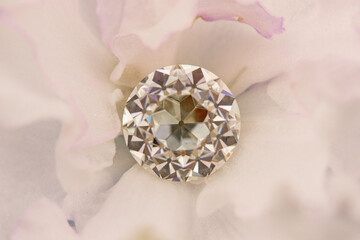A diamond is on top of a flower
