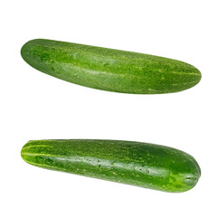 Long Cucumber Isolated on White – Healthy Green Produce