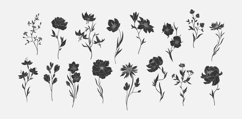 Fototapeta premium Set of various flowers and branch in silhouette or linocut drawing style. Luxury floral collection for wedding invitation, wallpaper art or save the date card