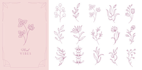Set of boho simple geometric branch and flowers. Botanic design elements in wavy and vintage style. Leaves and branches print for logo, social media or packaging