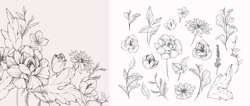 Set of detailed black and white drawing various flowers and leaves. Luxury floral collection for wedding invitation, wallpaper art or save the date card. Botanical vector