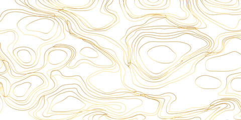 Elegant Abstract Topographic Landscape in Luxurious Golden Tones — A Sophisticated Vector Illustration Design on a Clean White Background.
