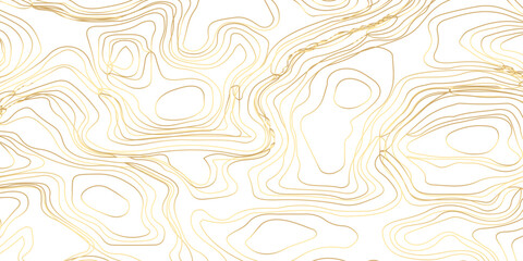 Elegant Abstract Topographic Landscape in Luxurious Golden Tones — A Sophisticated Vector Illustration Design on a Clean White Background.

