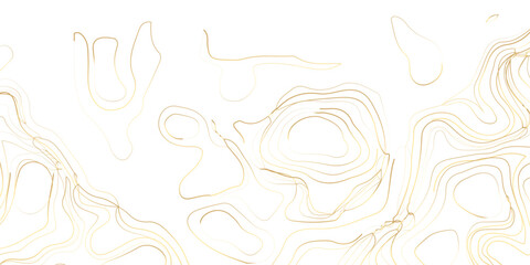 Elegant Abstract Topographic Landscape in Luxurious Golden Tones — A Sophisticated Vector Illustration Design on a Clean White Background.
