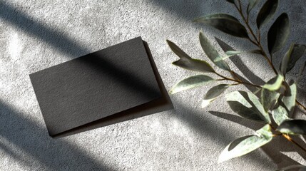 Obraz na płótnie Canvas Blank black business card mockup on concrete with dramatic shadows