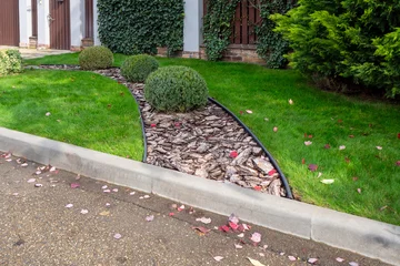 Fototapeten Grün Curved flowerbed with mulch and shrubs next to green lawn and border. Landscape design, site maintenance, hardwood border. Real photo  © LariBat