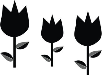 Minimalist black tulips with textured stems and leaves on white background