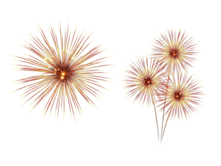 Fireworks Explosion Isolated on White, Celebration, Festive, Burst, Holiday Background