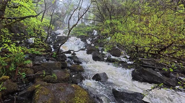 Aros waterfall on the Isle of Mull near Tobermory, inner Hebrides, Scotland UK