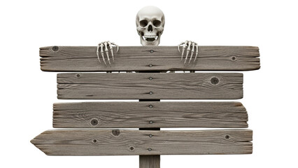 Skeleton holding a wooden blank sign, isolated on white, Halloween concept