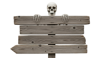 Skeleton holding a wooden blank sign, isolated on white, Halloween concept