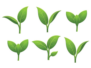 Set of six bright green young plant sprouts or seedlings