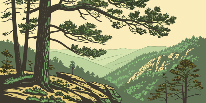 Ozark Mountains &ndash; Modern Pine Ridge Vector, Minimal Forested Highlands Illustration, Clean Arkansas&ndash;Missouri Landscape Design