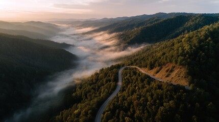 A winding road cuts through green hills as the sun rises. Mist fills the valley creating a soft cover over the forest below. The scene shows the beauty of nature at dawn.