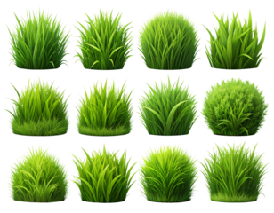 Firefly_A camera lens with a red and orange band around it_ - Firefly_set of multiple grass png_ 