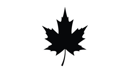 A striking silhouette of a maple leaf against a clean white background