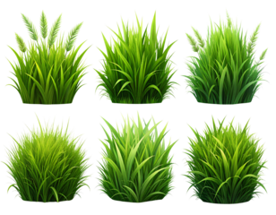 Firefly_A camera lens with a red and orange band around it_ - Firefly_set of multiple grass png_