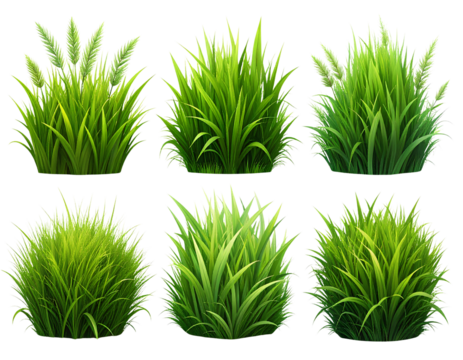 Firefly_A camera lens with a red and orange band around it_ - Firefly_set of multiple grass png_ - Powered by Adobe