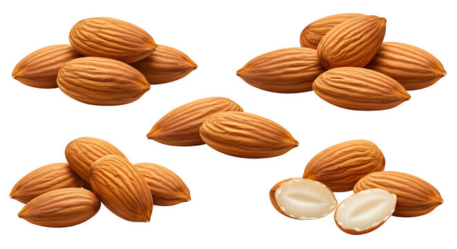 Almonds isolated on transparent background, lipart, Graphic, Illustration, Design, Nuts, Groundnuts, Legumes, Peanuts icon, Roasted peanuts, Snack, Nutritional, Protein, Healthy snack